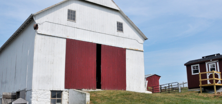 amish barns