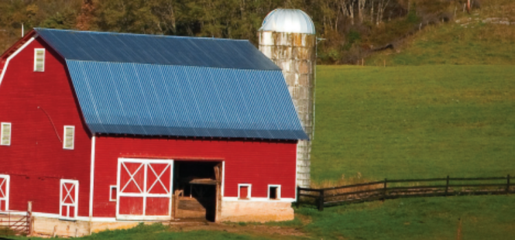 custom Amish shed