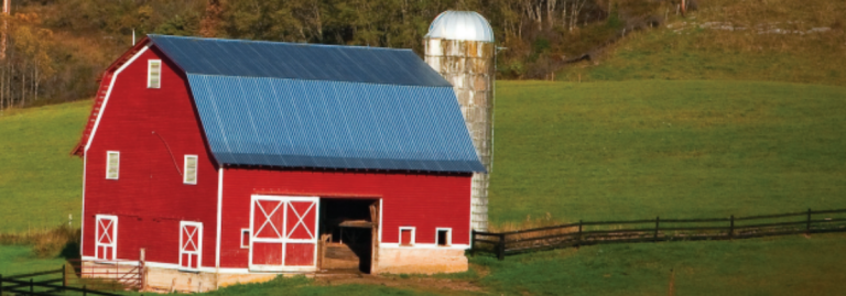 custom Amish shed