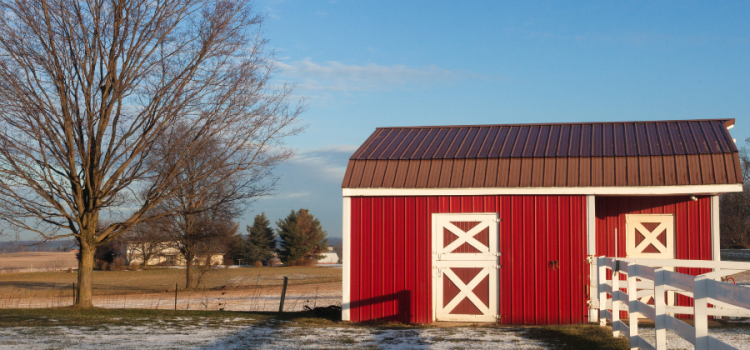 amish shed