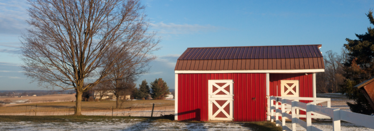 amish shed