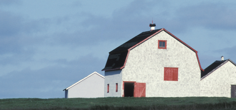 amish building process