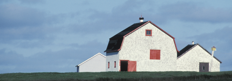 amish building process