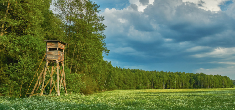 Amish hunting blind