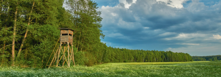 Amish hunting blind