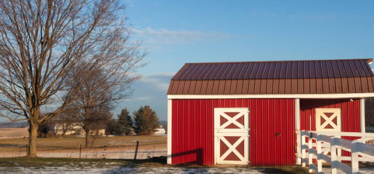 Choose the Perfect Size for Your Amish Custom Shed