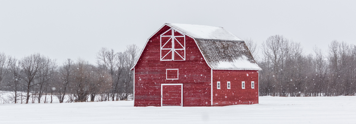 A Shed For Every Season: Reliable Outdoor Storage - Yoder Barns